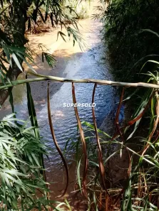 Lote/Terreno à venda, 2000m² no Morro das Pedras, Valinhos