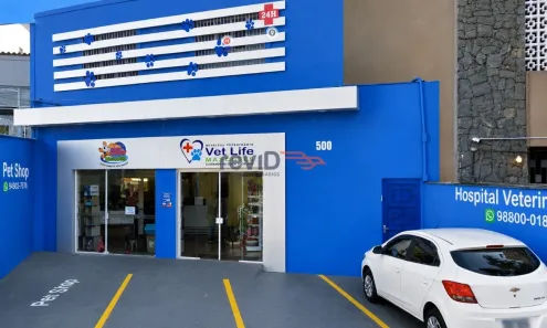 Sala Comercial para alugar, 220m² no Vila Mascote, São Paulo