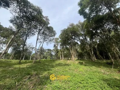 Lote/Terreno à venda, 20000m² no , Urubici