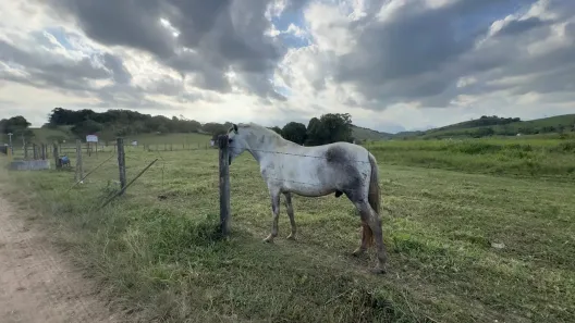 Fazenda/Sítio com 3 Quartos à venda, 250000m² no Área Rural de Cachoeiras de Macacu, Cachoeiras de Macacu