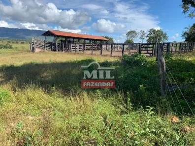 Fazenda/Sítio à venda, 500m² no , Paranã