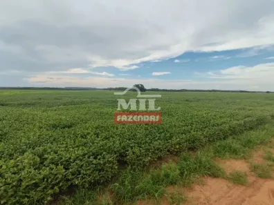 Fazenda/Sítio à venda, 500m² no , Barra do Ouro