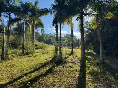 Lote/Terreno à venda, 76000m² no Centro, Holambra