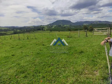 Fazenda/Sítio à venda, 556600m² no , Sapopema