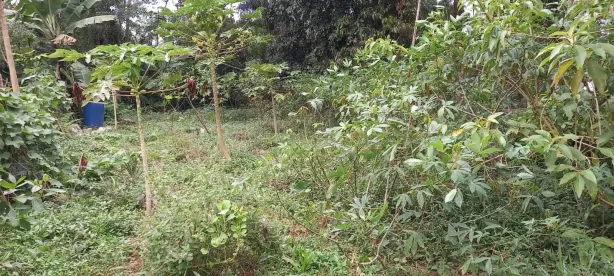 Lote/Terreno à venda, 150m² no Recanto Campo Belo, São Paulo