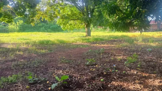 Fazenda/Sítio à venda, 4800m² no Residencial Bica do DER, Brasília