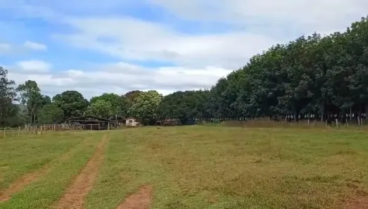 Fazenda/Sítio à venda, 46m² no Vila Pernambuco, Cassilândia
