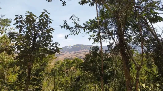 Fazenda/Sítio à venda, 23352m² no , Santo Antônio do Pinhal