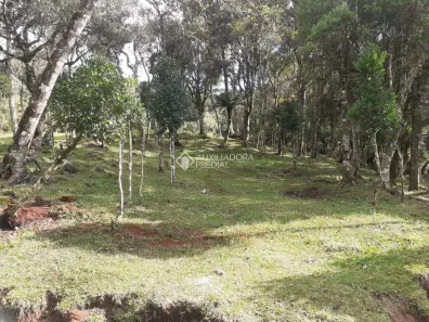Lote/Terreno à venda, 408710m² no Urubici, Urubici