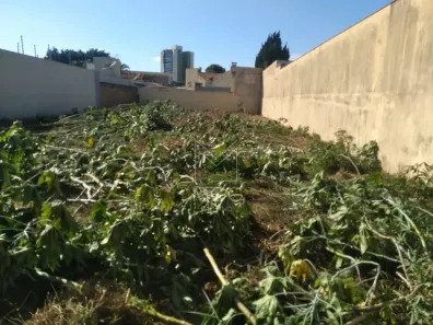 Lote/Terreno com 1 Quarto à venda, 1m² no Centro, Arapongas