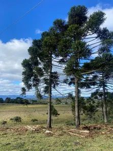 Lote/Terreno com 1 Quarto à venda, 20000m² no , Urubici