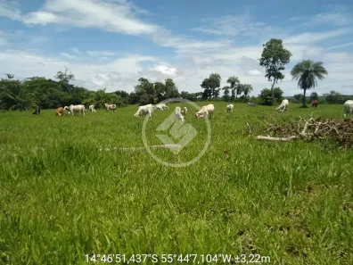 Fazenda/Sítio à venda, 100m² no , Chapada dos Guimarães