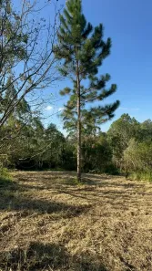 Lote/Terreno à venda, 1000m² no Centro, Mairinque
