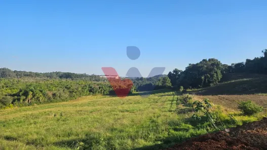 Lote/Terreno à venda, 73306m² no Estação, Araucária