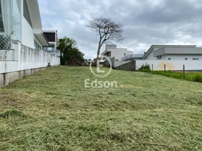 Lote/Terreno à venda, 518m² no Pedra Branca, Palhoça