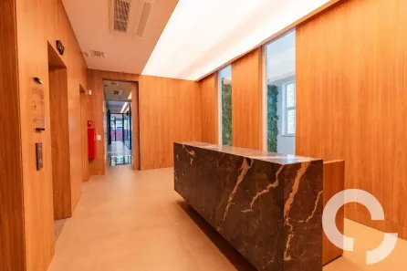 para alugar, 221m² no Nova Campinas, Campinas