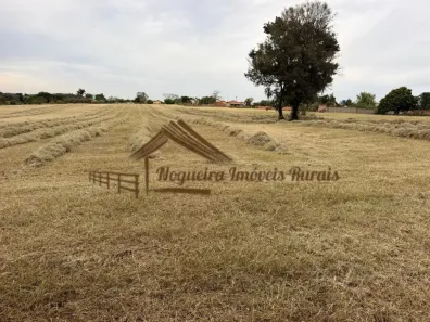 Fazenda/Sítio à venda, 48400m² no , Quadra