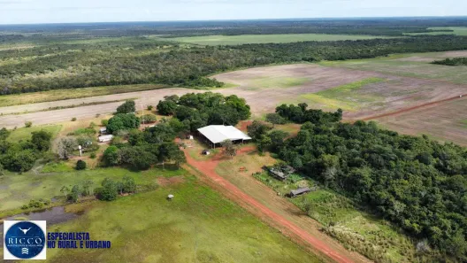 Fazenda/Sítio com 5 Quartos à venda, 4244m² no Setor Central, Lagoa da Confusão