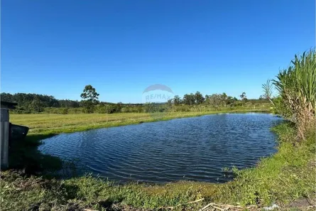 Fazenda/Sítio com 2 Quartos à venda, 200m² no Águas Claras, Viamão