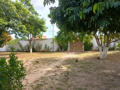 Fazenda/Sítio com 3 Quartos à venda, 2122m² no Catu, Alagoinhas