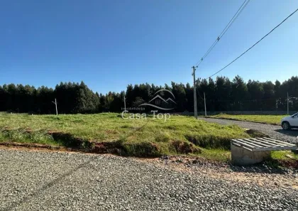 Lote/Terreno à venda, 260m² no Colônia Dona Luíza, Ponta Grossa