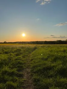 Fazenda/Sítio à venda, 500m² no Puris, Ibiúna