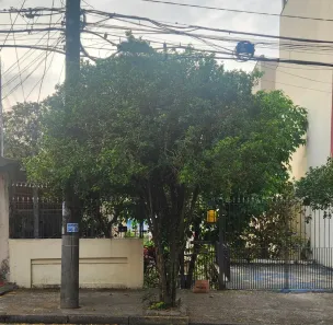 Lote/Terreno à venda, 240m² no Vila Metalúrgica, Santo André