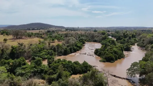 Fazenda/Sítio à venda, 1m² no , Aloândia