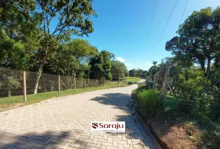 Fazenda/Sítio com 1 Quarto à venda, 24512m² no Borda do Campo, São José dos Pinhais