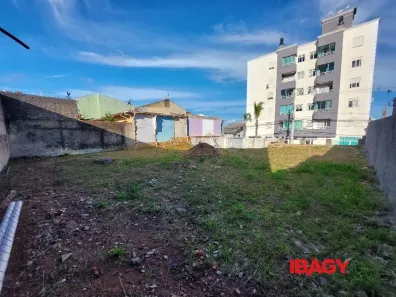 Lote/Terreno para alugar, 330m² no Ipiranga, São José