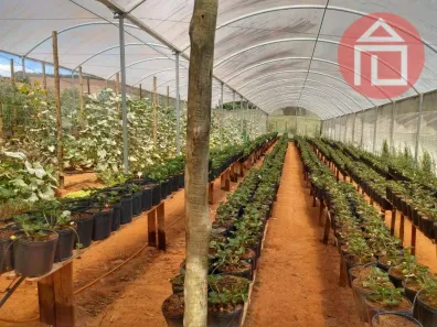 Fazenda/Sítio com 2 Quartos à venda, 260m² no Campo Novo, Bragança Paulista