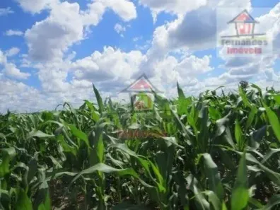 Fazenda/Sítio à venda, 14500000m² no Centro, Dourados