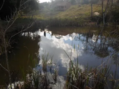 Lote/Terreno à venda, 80000m² no , Rio Manso