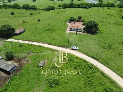 Fazenda/Sítio com 2 Quartos à venda, 100m² no Caja, Caldas Brandão