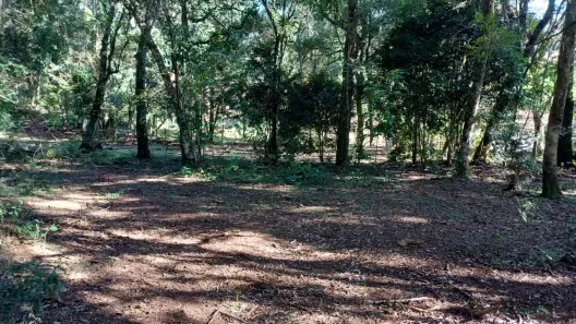 Fazenda/Sítio à venda, 13384m² no Bateias de Baixo, Campo Alegre