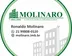 Miniatura da foto de Molinaro Consultoria Imobiliária