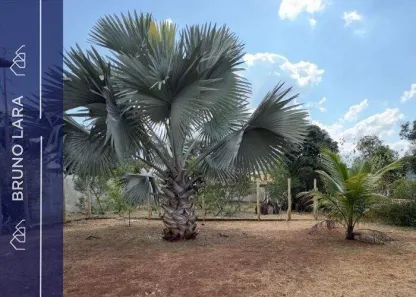 Lote/Terreno à venda, 1000m² no Residencial Ouro Verde, Igarapé