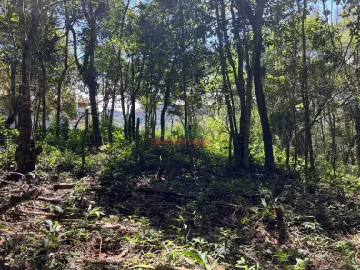 Lote/Terreno à venda, 1200m² no Mulungu, Mulungu