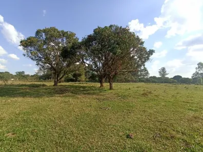 à venda, 22000m² no Tibaia de São Fernando, São Carlos