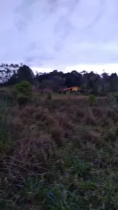 Fazenda/Sítio com 3 Quartos à venda, 150m² no , Pilar do Sul