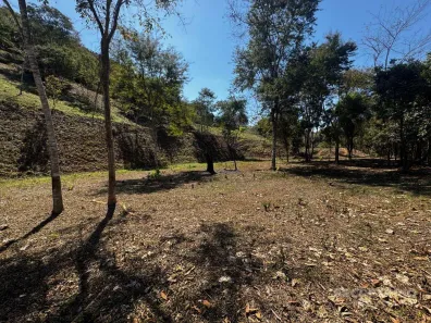 Lote/Terreno à venda, 42086m² no Pedro do Rio, Petrópolis