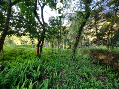 Lote/Terreno à venda, 1100m² no Alto do Capivari, Campos do Jordão