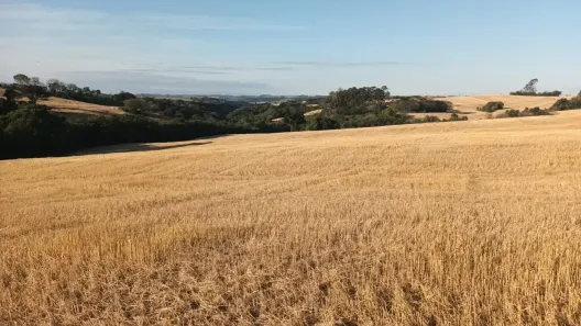 Fazenda/Sítio à venda, 508200m² no , Jardim Alegre