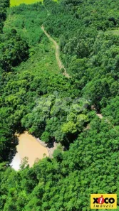 Fazenda/Sítio com 1 Quarto à venda, 5000m² no , Picada Café