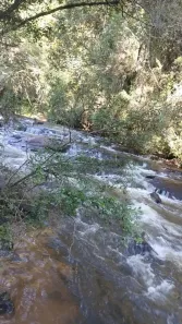 Fazenda/Sítio com 3 Quartos à venda, 72600m² no , Cajuru