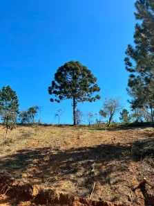 Lote/Terreno à venda, 500m² no Jardim Cruzeiro Gleba B, Mairinque