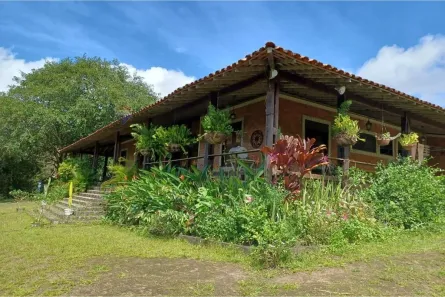 Fazenda/Sítio com 6 Quartos à venda, 1000m² no , Bonito