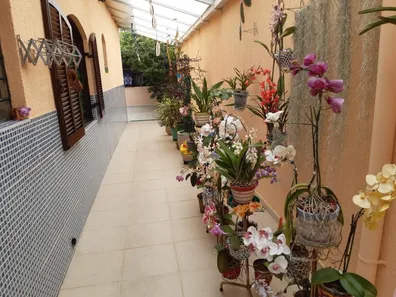 Casa com 3 Quartos à venda, 289m² no Chácara Mafalda, São Paulo