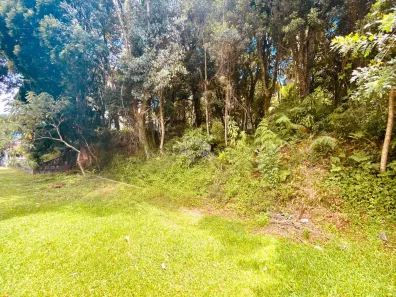 Lote/Terreno à venda, 1250m² no Centro, Canela