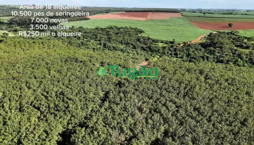Fazenda/Sítio à venda, 435600m² no Área Rural de Bálsamo, Bálsamo